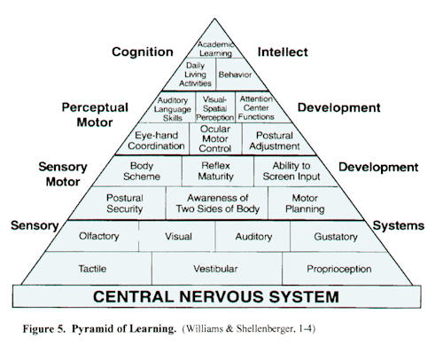 Sensory Pyramid